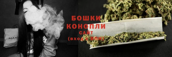 спиды Богородск