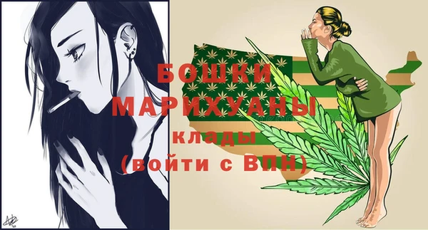 спиды Богородск