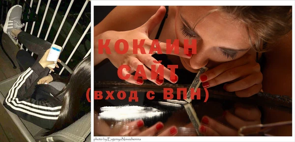 спиды Богородск