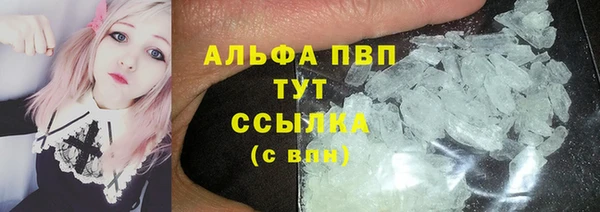 спиды Богородск
